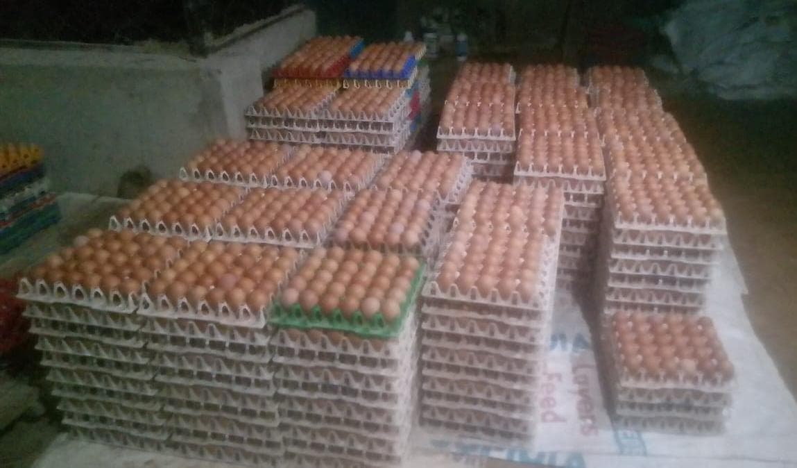 Fresh N&N table eggs