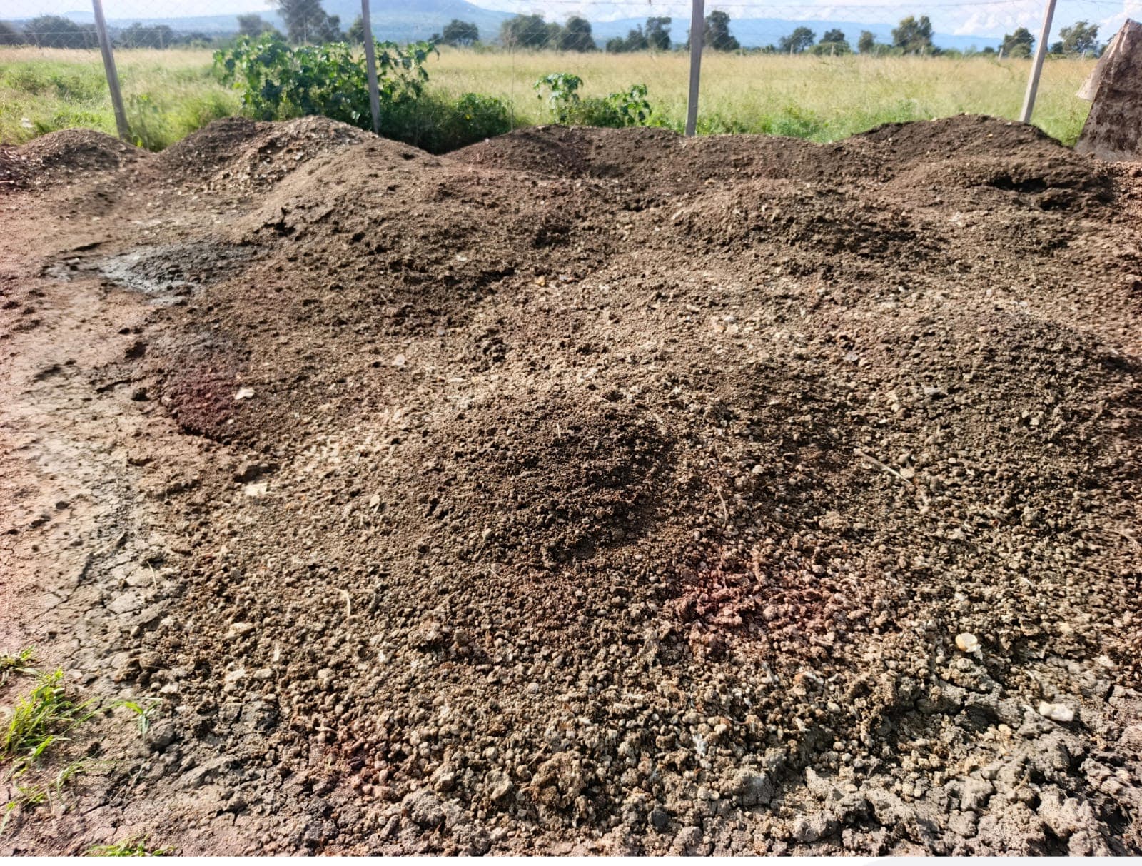 Poultry Manure