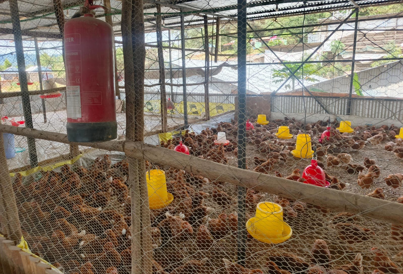 Flock Care and Daily Operations